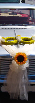 Ukrašavanje automobila